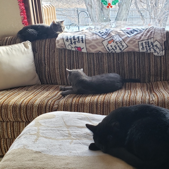 My Bebes! - Picture 8 of 15